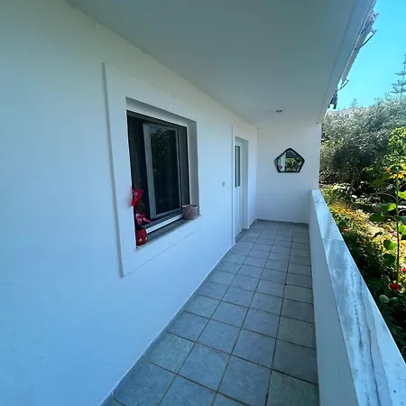 Zani *